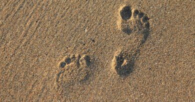 Barefoot jako nový trend. Stojí opravdu za vyzkoušení?